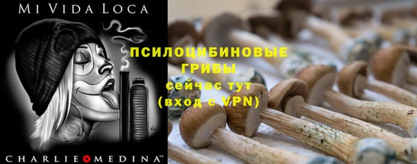 хмурый Михайловка