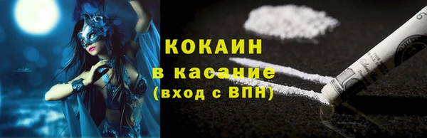 мяу мяу мука Надым