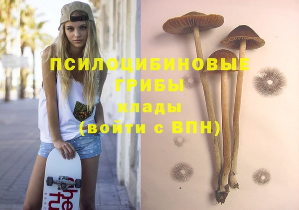 спиды Михайловск
