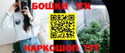 твердый Гатчина