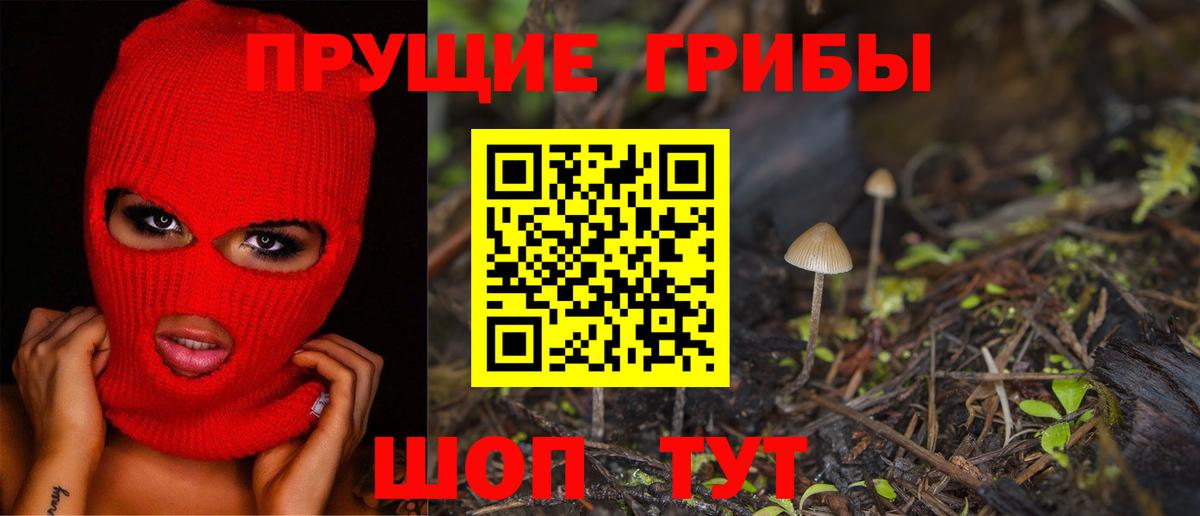 Галлюциногенные грибы Psilocybine cubensis Ипатово