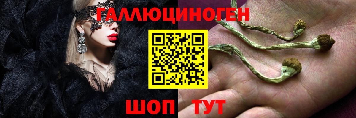 Галлюциногенные грибы Psilocybine cubensis  Вход с VPN  где купить наркоту  Псилоцибиновые грибы MAGIC MUSHROOMS  Ипатово 