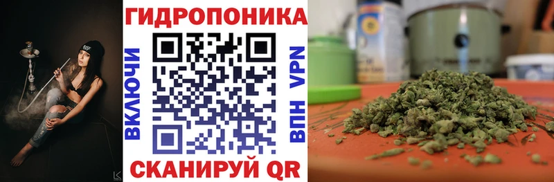 МЕГА ТОР  Ипатово  Канабис план  купить  цена 